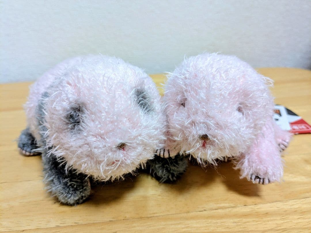 上野動物園 ほんとの大きさパンダの仔 暁暁 蕾蕾 ぬいぐるみ 2体セット