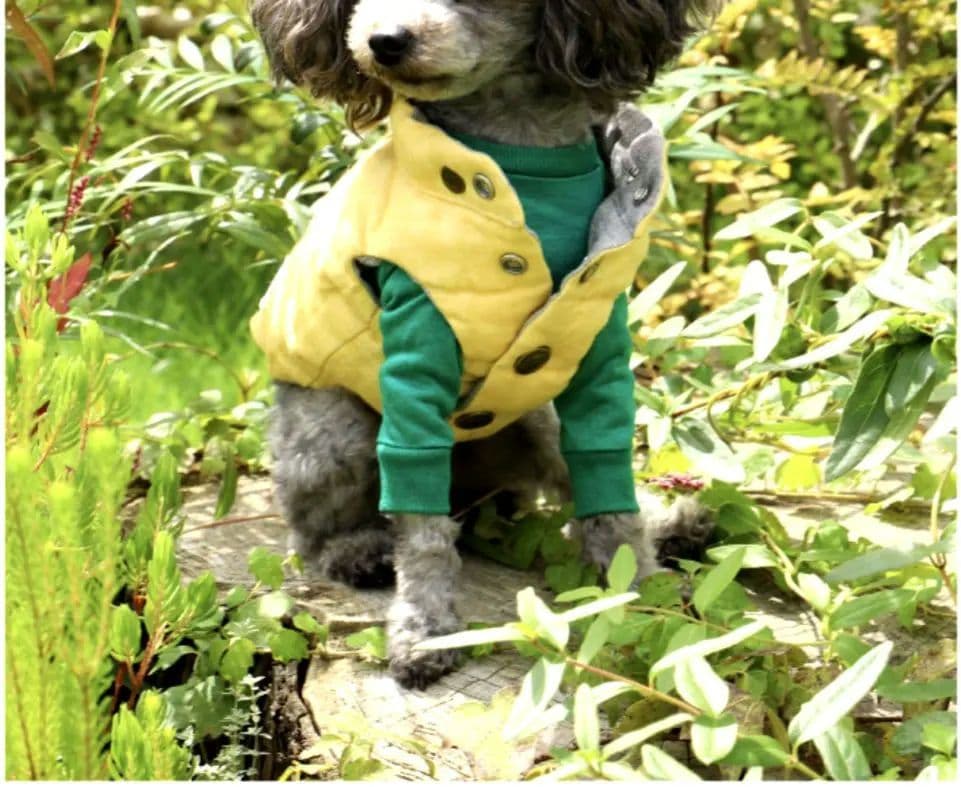 新品未使用　アトリエgg　プレミアムリネンダウンベスト　リバーシブル GG MADE IN TOKYO.』『GG+KIITI』『GG DENIM LINE』『Chocolat de