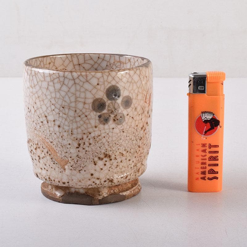 茶道具 古志野 梅絵図 茶碗 時代箱 V R8652 - メルカリ