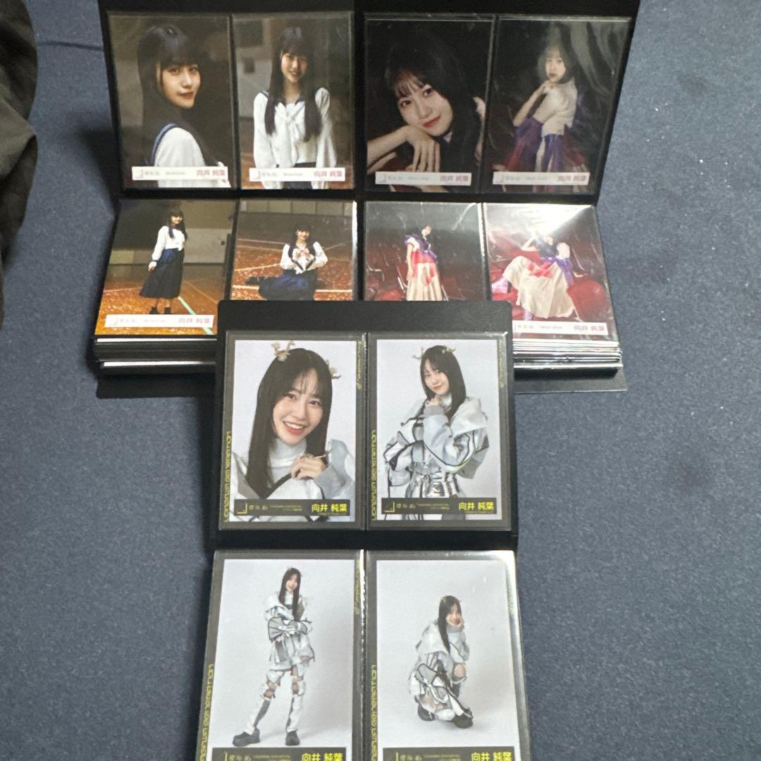 向井純葉　生写真フルコンプセット　最初期から2025/9まで95セット