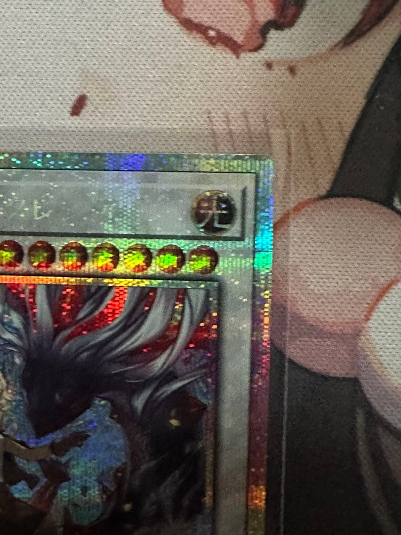 黒き竜のエクレシア プリシク