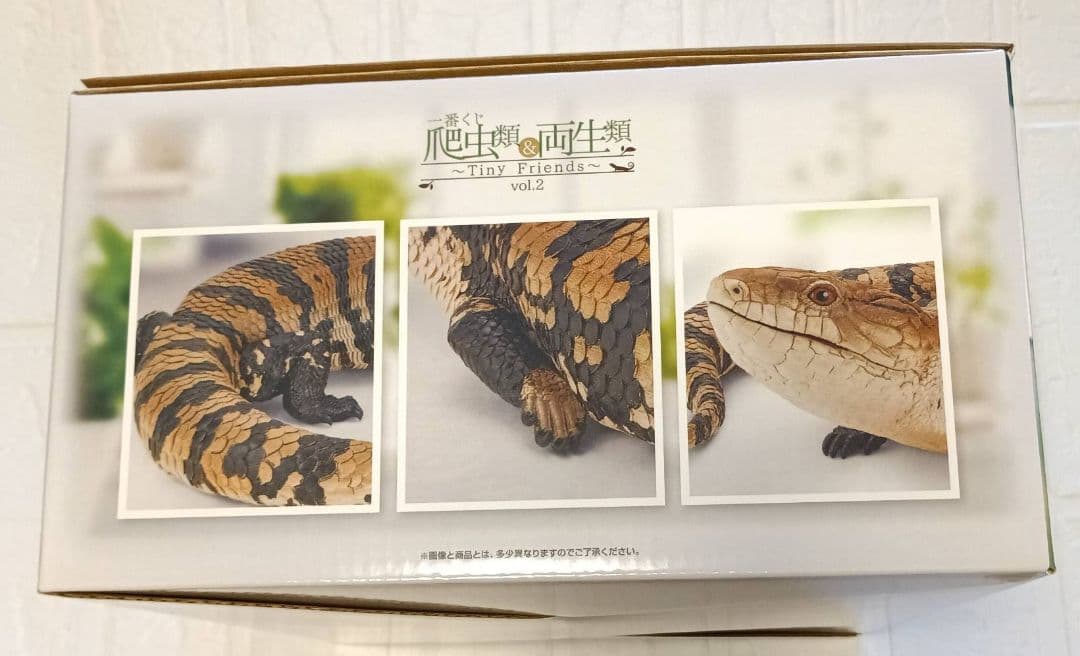 一番くじ 爬虫類＆両生類～ vol.2 A賞・B賞・C賞・D賞