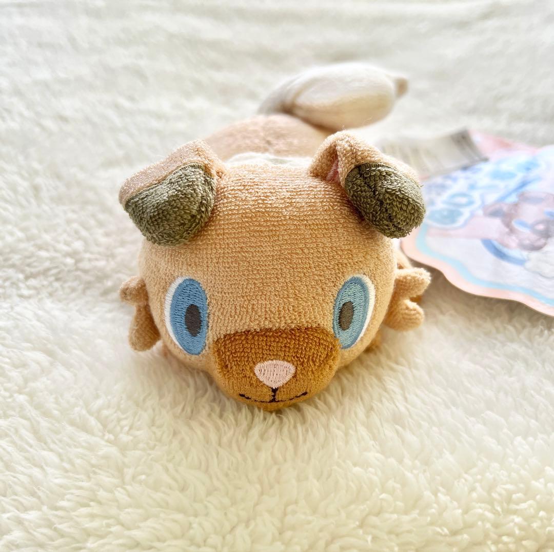 ポケモン 洗えるぬいぐるみ イワンコ - メルカリ