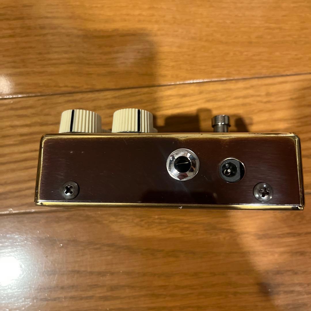 ギター VEMURAM Jan Ray