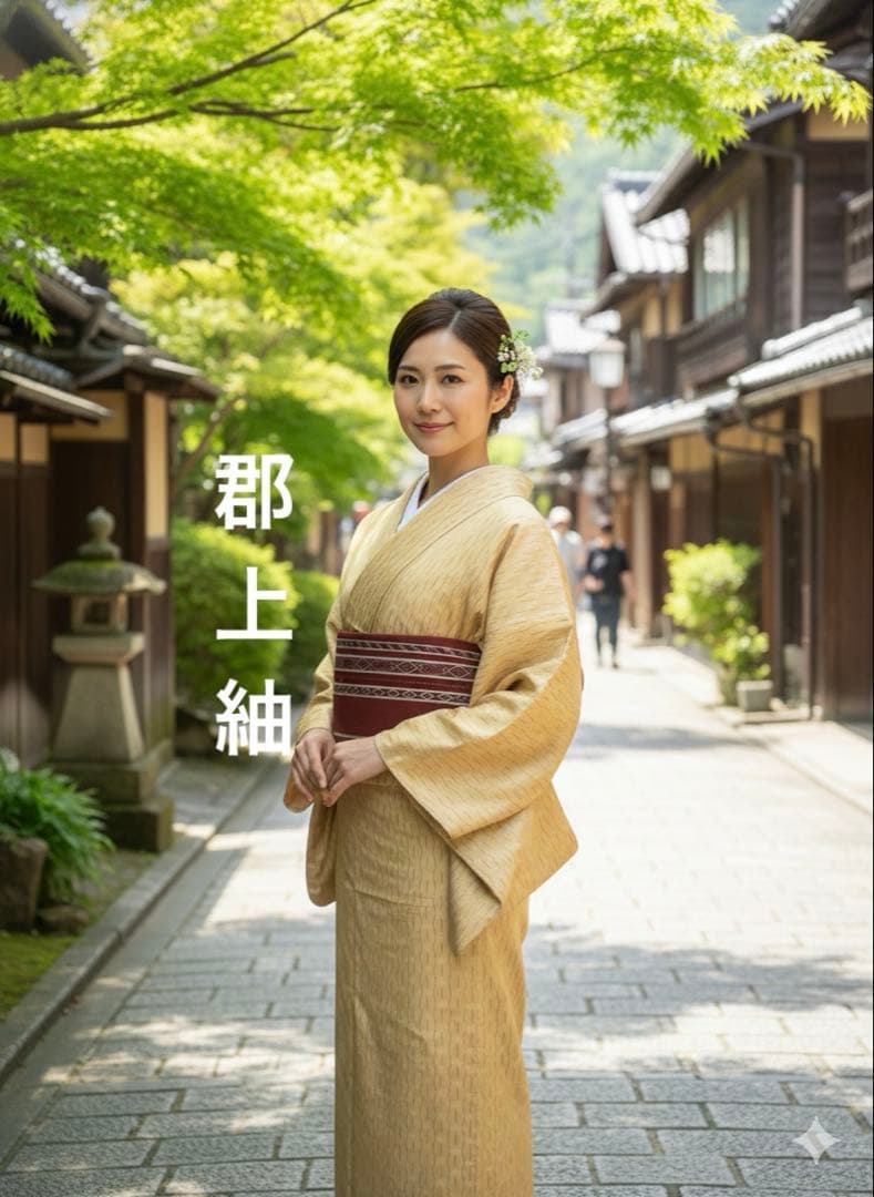 ☘️早い者勝ち☘️【国宝品】○岐阜県無形文化財【郡上紬】○幻の紬