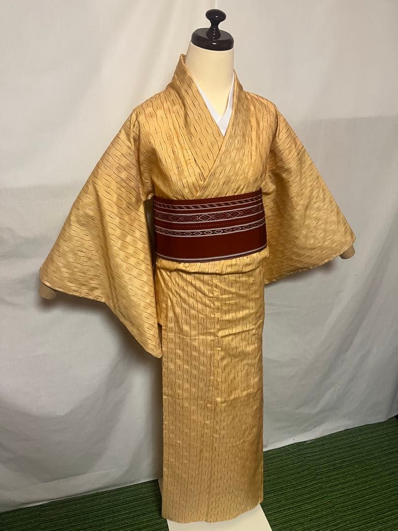 ☘️早い者勝ち☘️【国宝品】○岐阜県無形文化財【郡上紬】○幻の紬