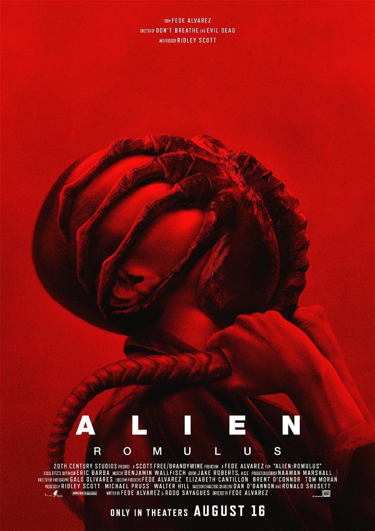 コスベイビー（4点）