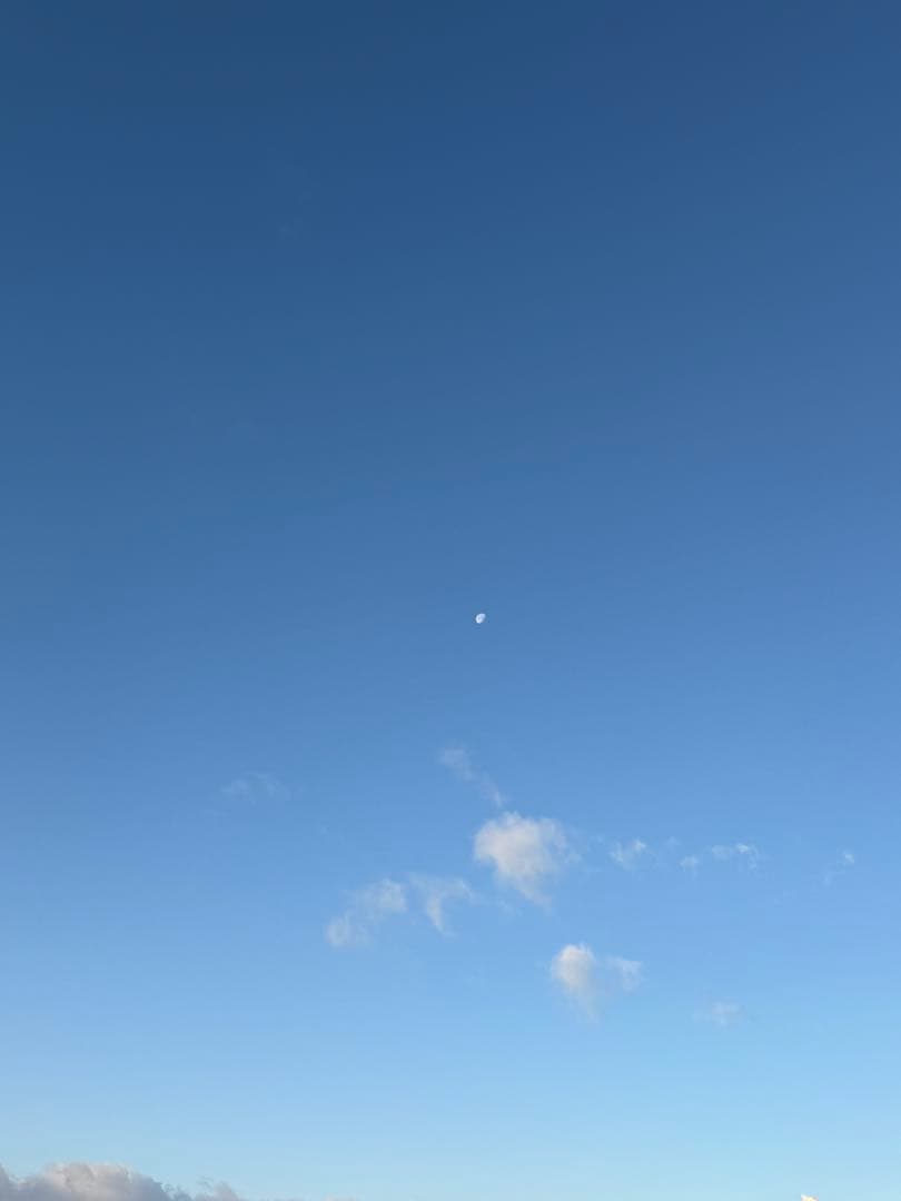 V　ピアス LV ヴォルト ルイヴィトン ピアスLVヴォルトアップサイドダウン Q96972