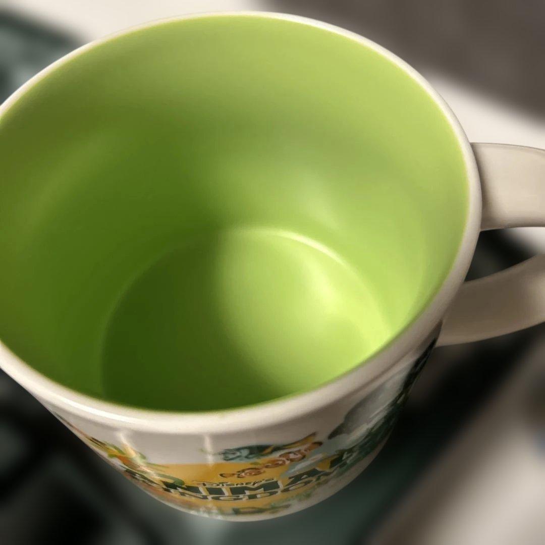 新品★WDW スタバ　ディズニーワールド　DISCOVERY マグカップ