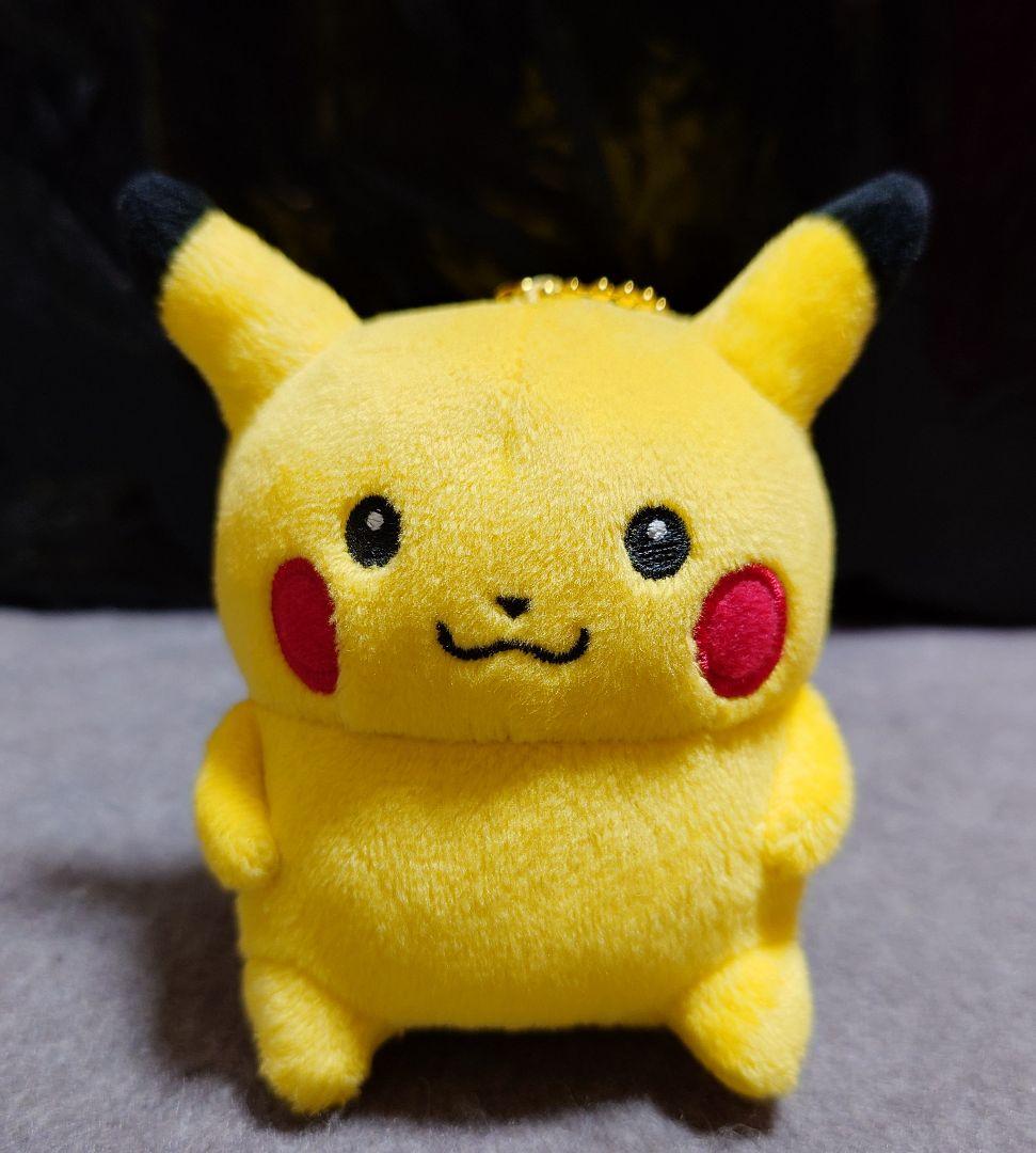 ポケモンセンター 24じかんポケモンchu ピカチュウ マスコット ナガノ