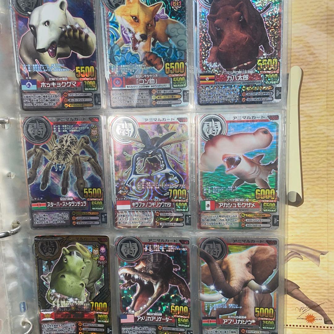 アニマルカイザー　まとめ売り