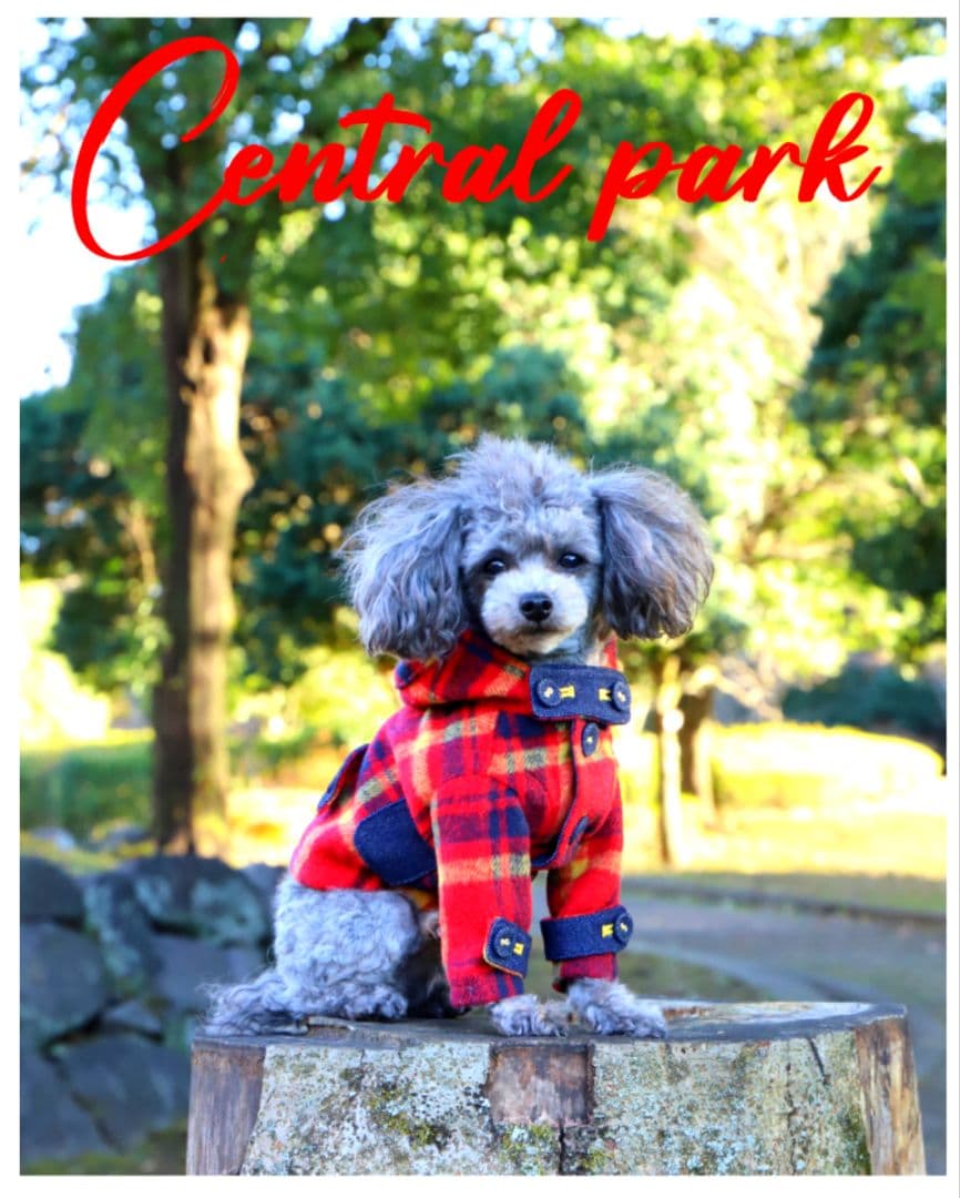 新品未使用　アトリエgg　セントラル パーク(パーク コート) セール】 カルゼビーバーチェスターフィールドコート （その他アウター