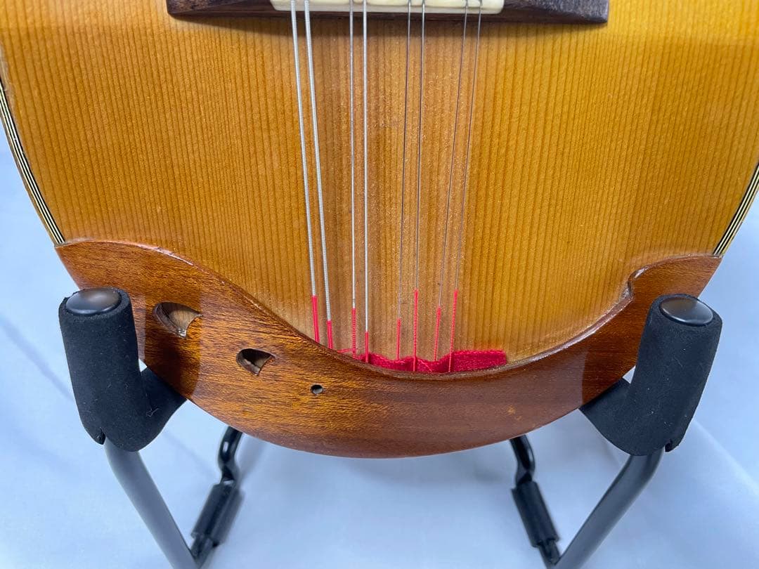 ラファエレ・ カラーチェ マンドリン No.24