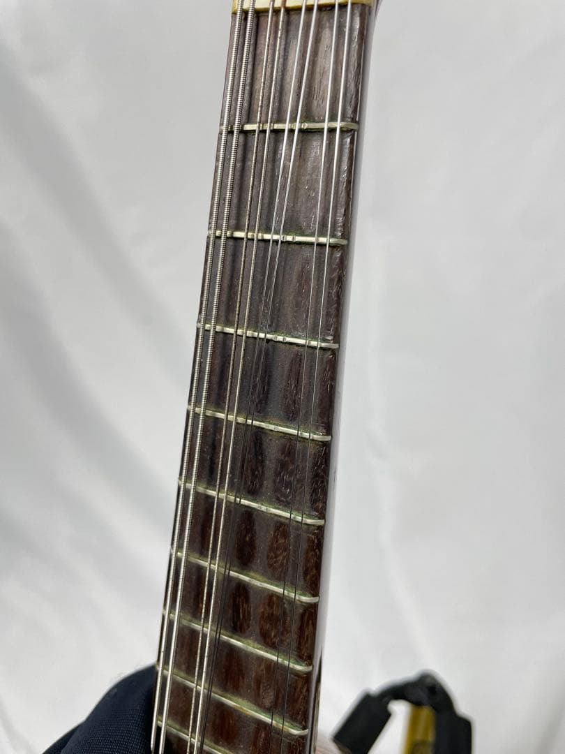 ラファエレ・ カラーチェ マンドリン No.24