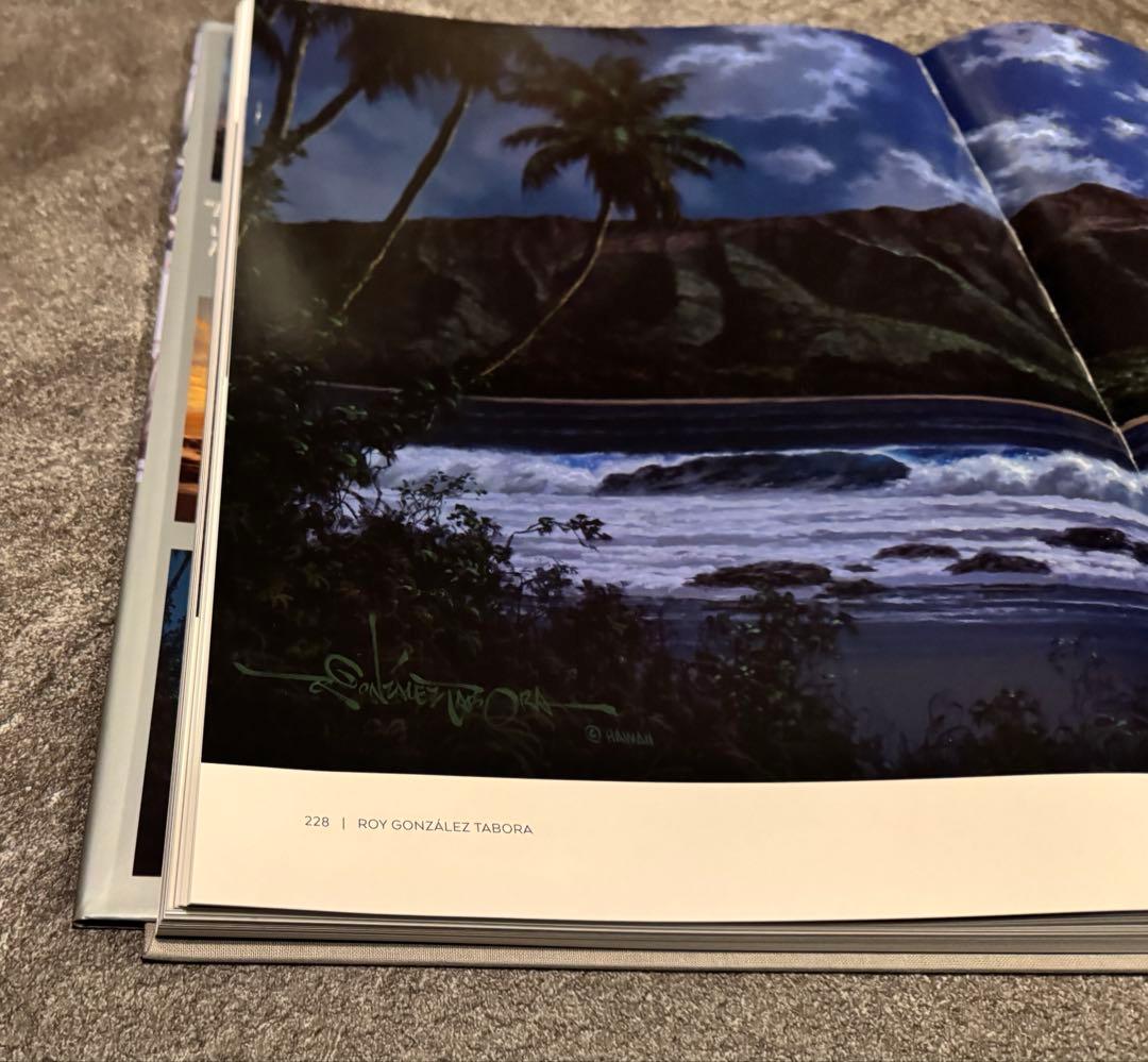 1点物 美品 ロイ.タボラ Jewel of the Night