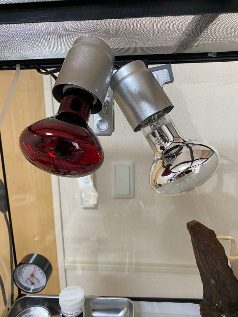 エキゾテラ6045 東広島市 とまさん専用 エキゾテラ6045 東広島市 と