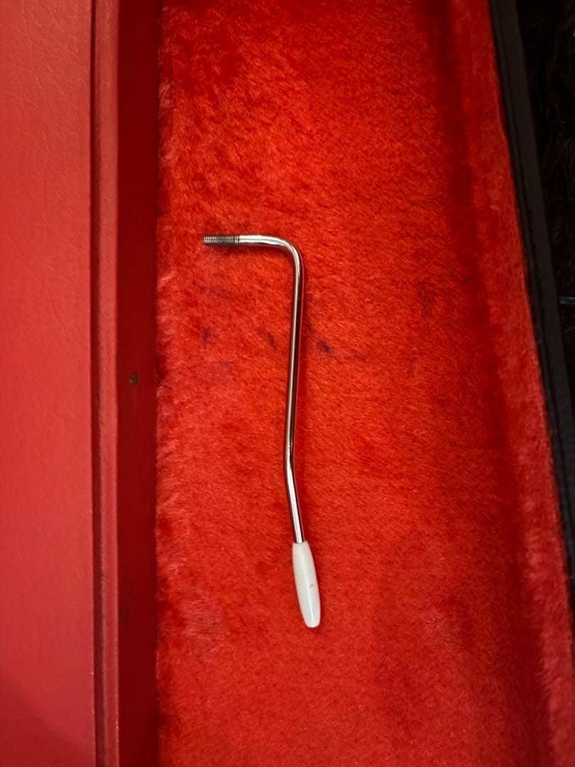 fernandes 石ロゴFST-85 ハードケース フェルナンデス 楽器・機材