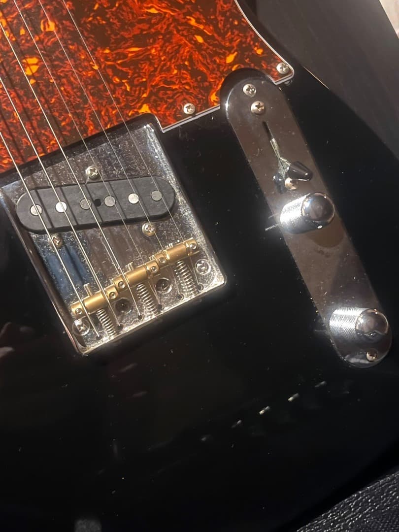 Bacchus テレキャスターギター