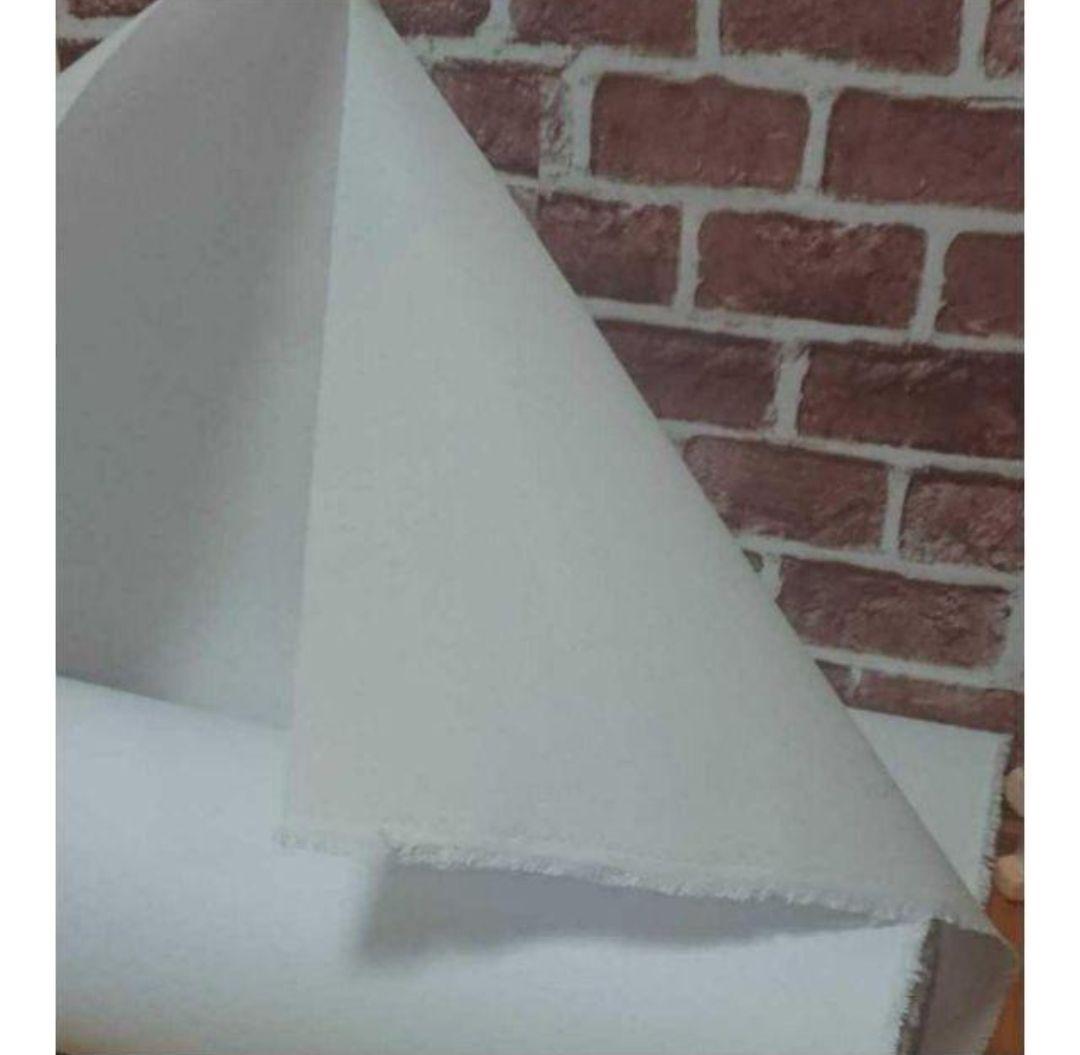 えみ No.56 アイロン接着芯 厚手 ハード 20m ロール発送特価