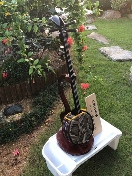 2024 沖縄三線最高峰八重山黒木umi様専用真壁型本皮張りスンチ塗り期間限定