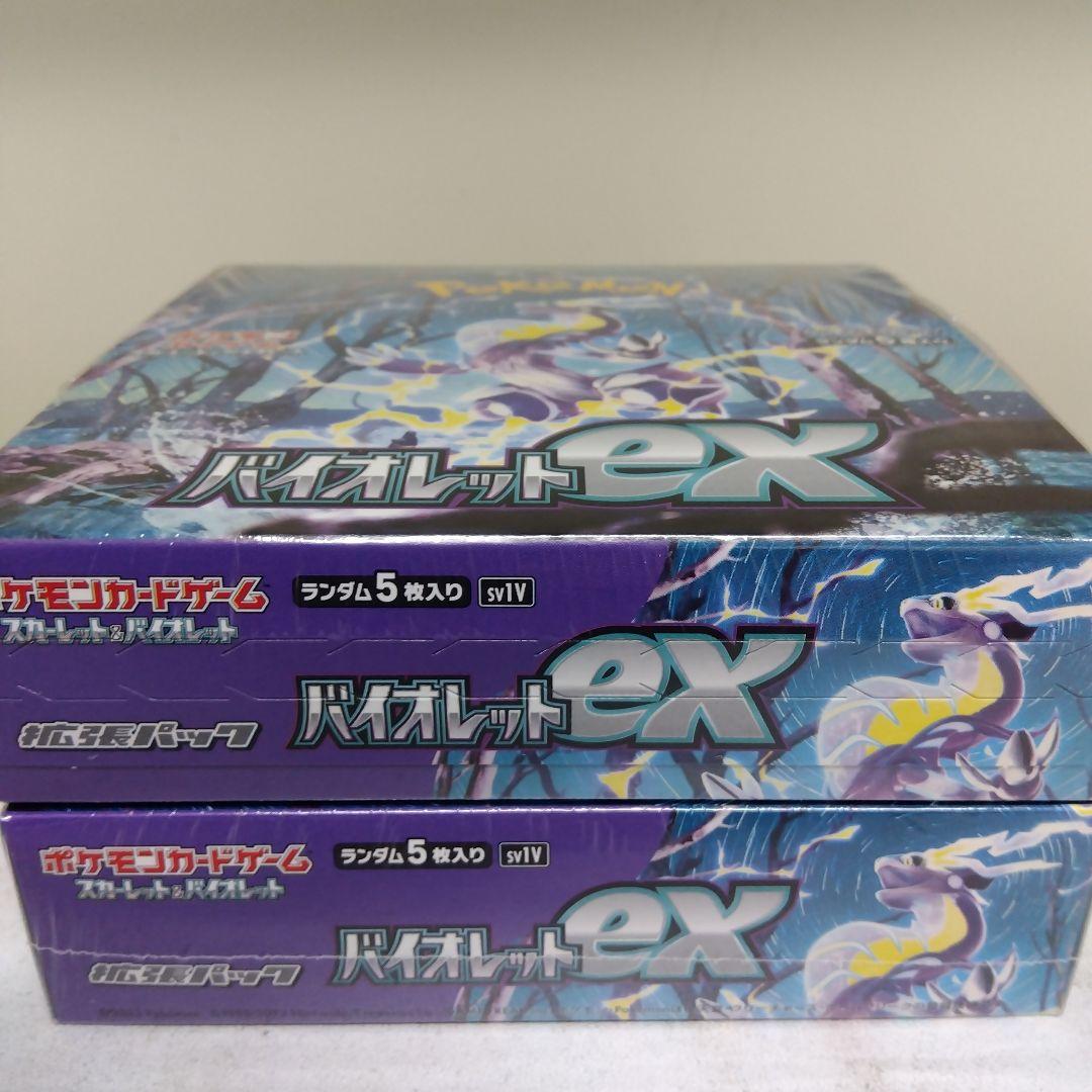 恐竜の歯 [DS196] トロオドン 化石