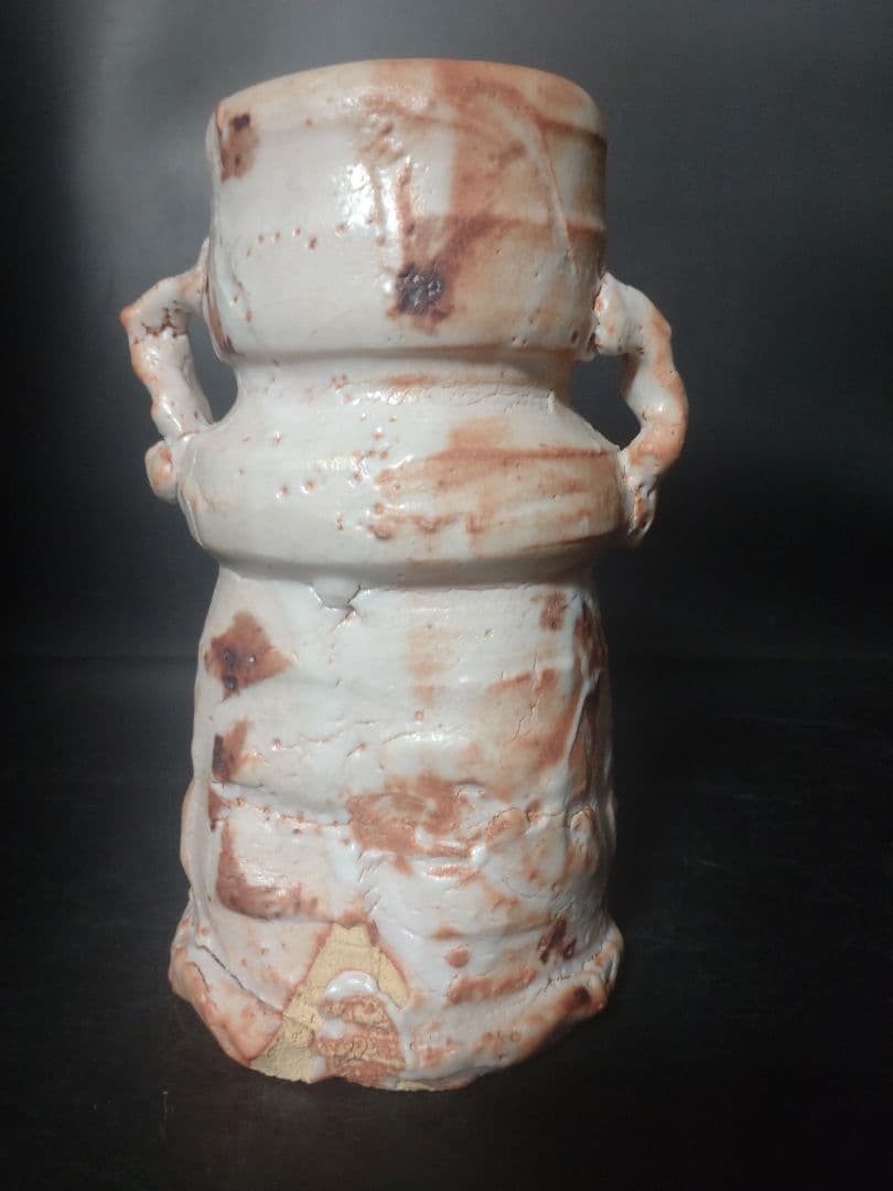 バツグンのアガリ!!若尾利貞造 志野花入 共箱 検（無形文化財 - メルカリ