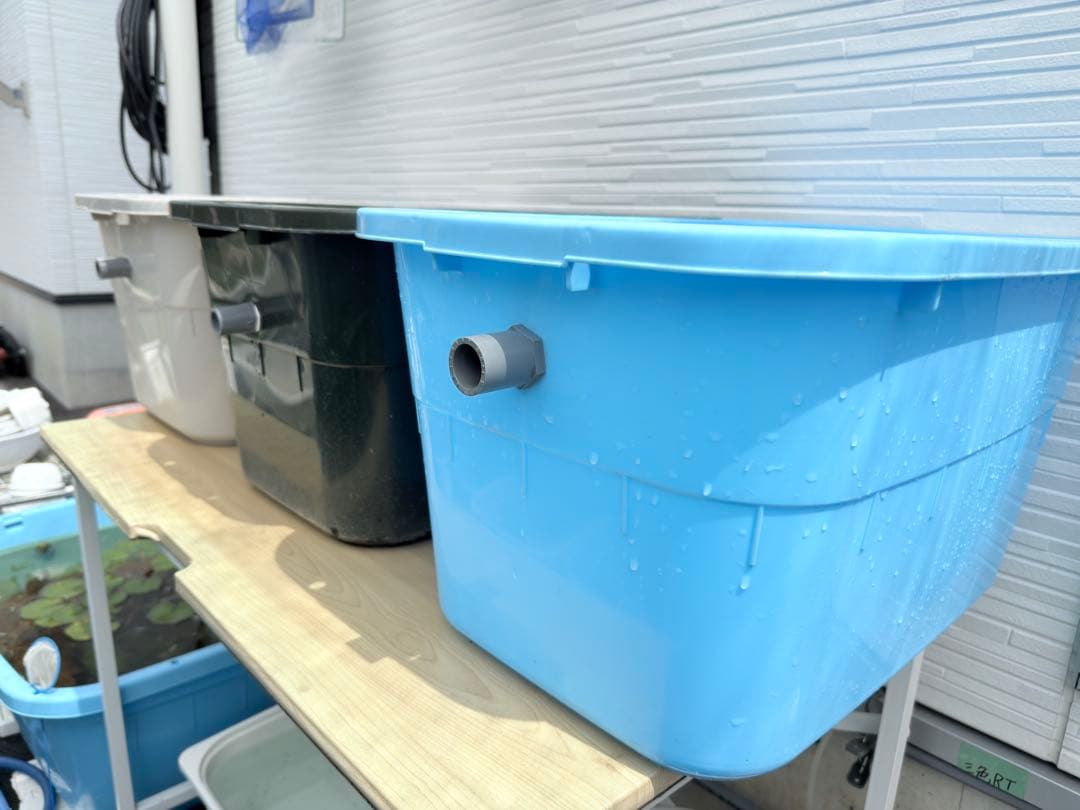 ☆お買い得☆たらい36L(5個)メダカ飼育容器オーバーフロー トロ舟プラ