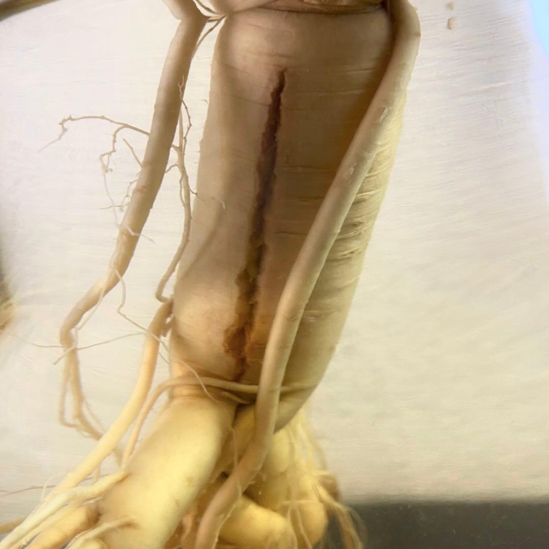 高麗人参 約40年物 古酒 ビンテージ ガラス瓶 金色 富士商事 健康酒