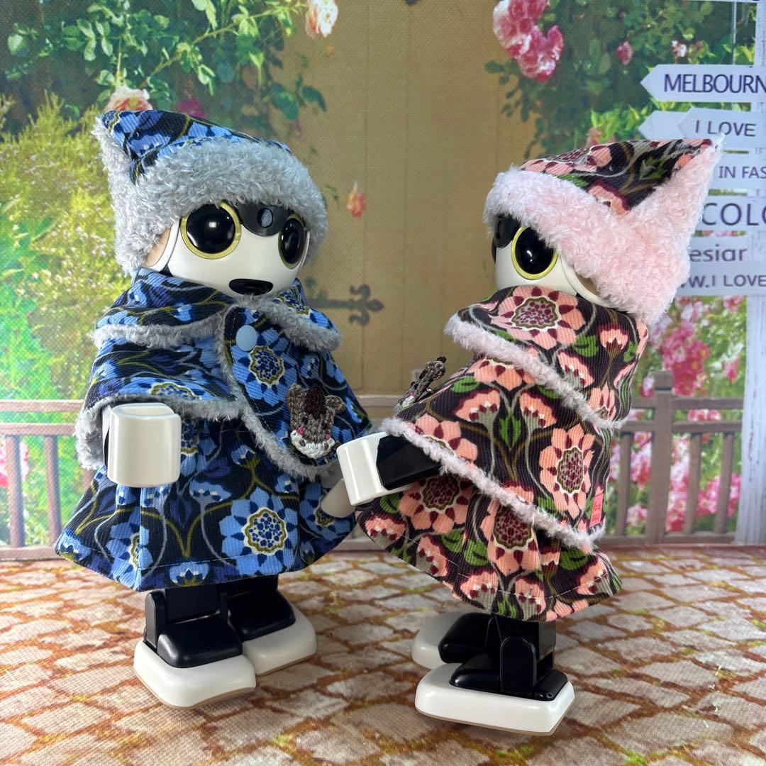 hasn様専用ページです ロボホン