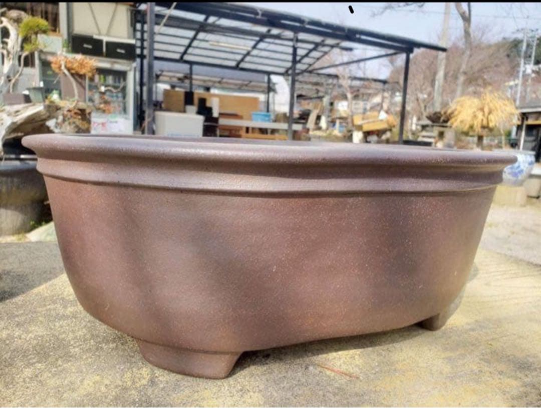 超珍品 メダカ鉢 水盤 中野行山手造り - メルカリ