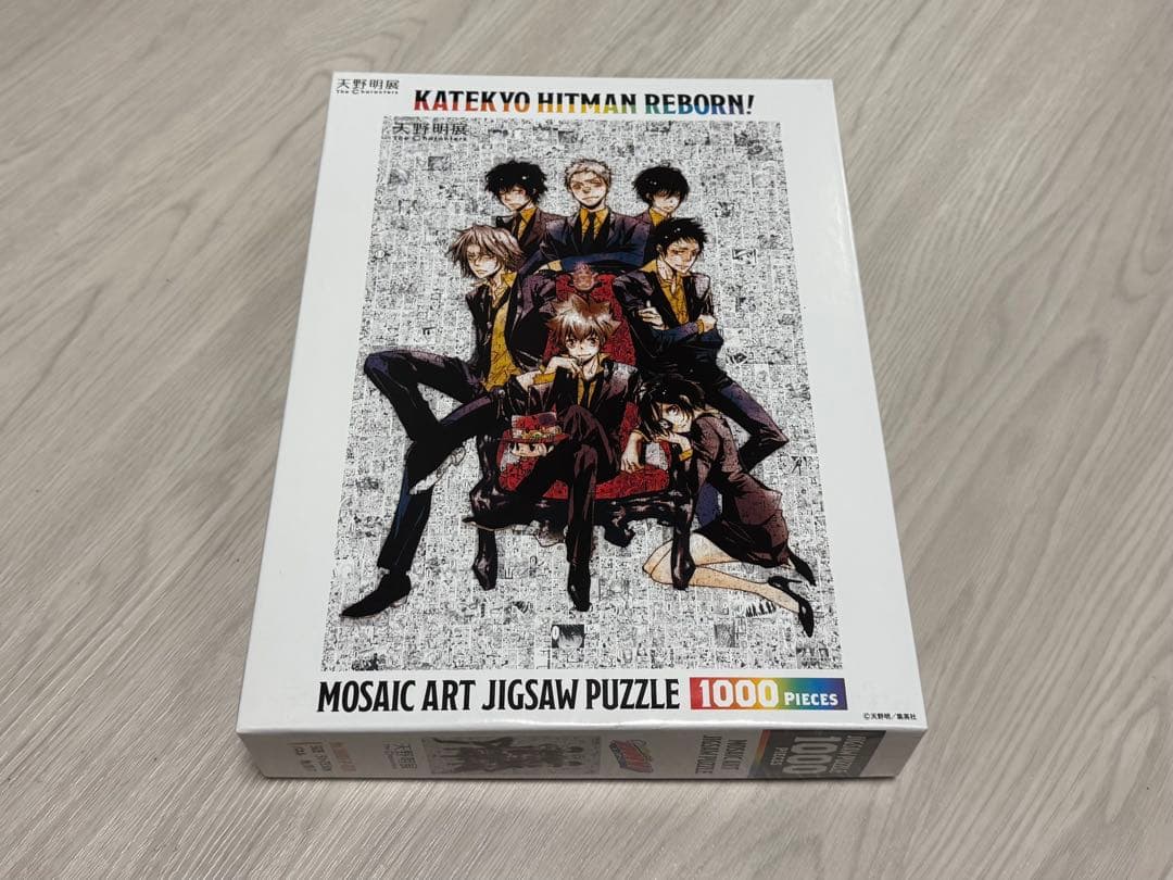 天野明展】家庭教師ヒットマンREBORN! モザイクアートパズル