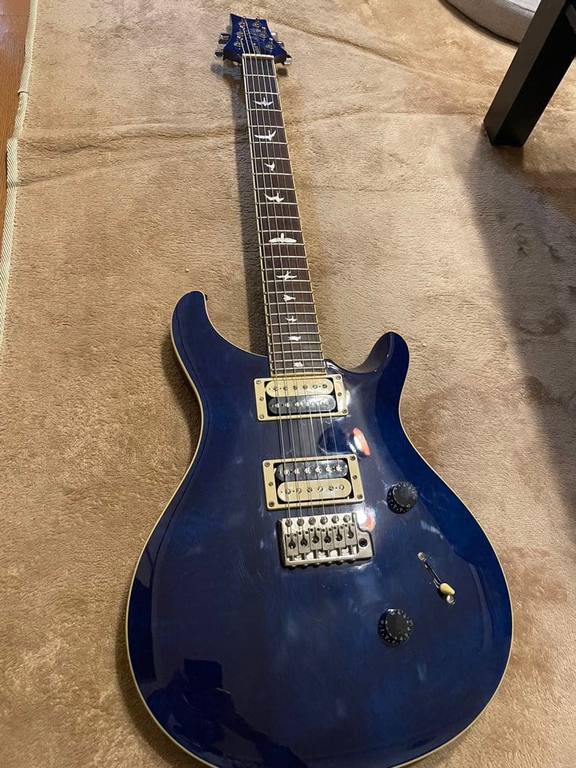 PRS SE Standard custom24 青