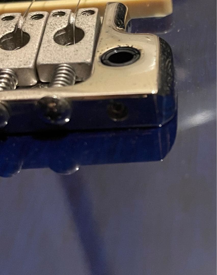 PRS SE Standard custom24 青