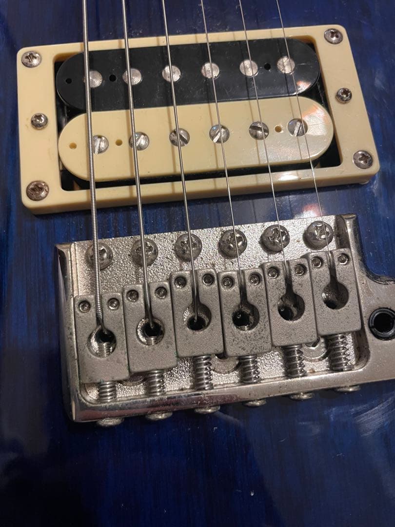 PRS SE Standard custom24 青