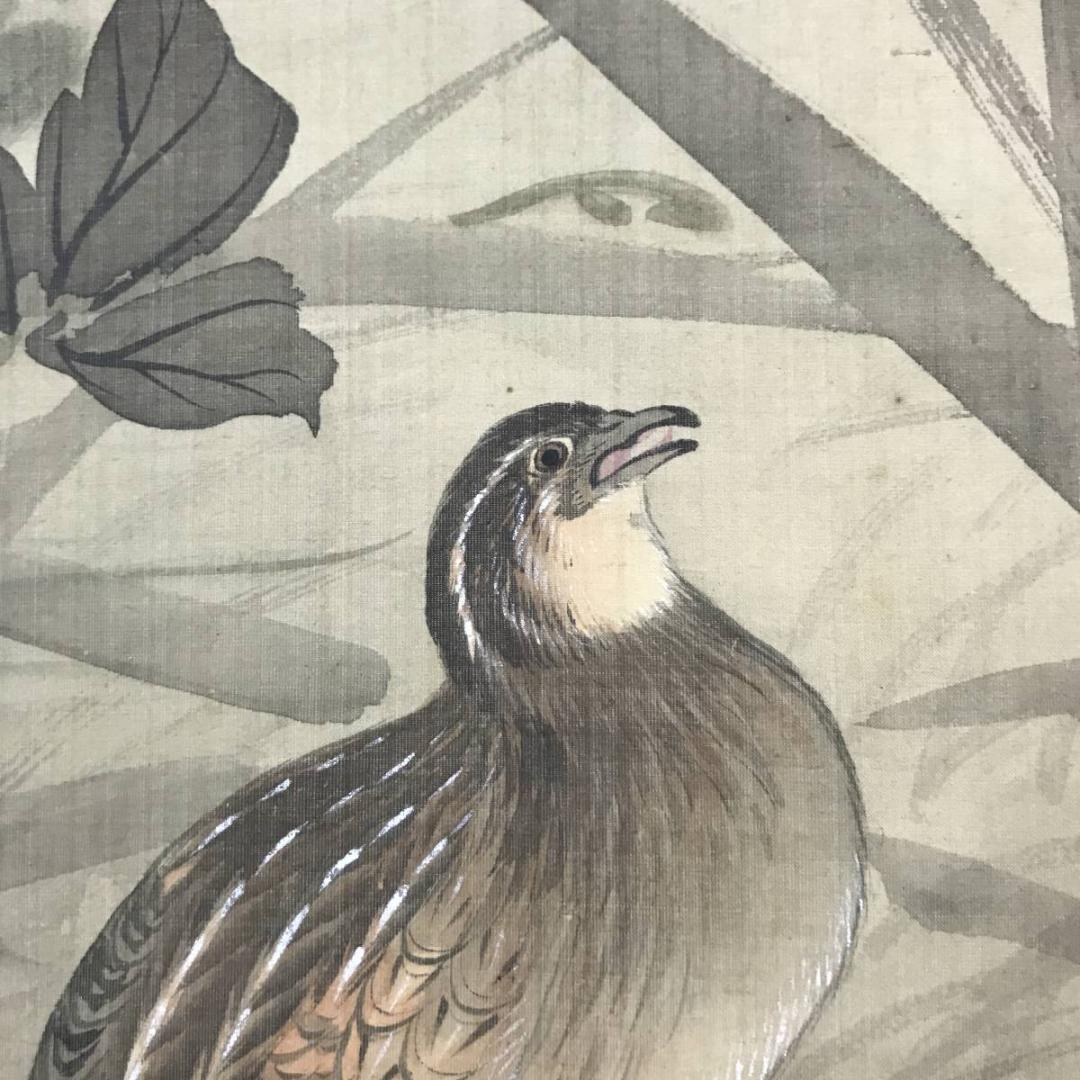 【真作】幸野楳峰/秋草鶉図/花鳥図/ウズラ図/掛軸/名家伝来/AC-293