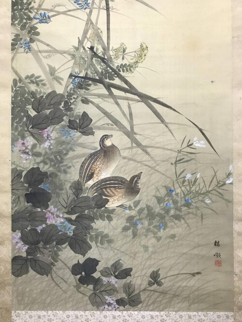 【真作】幸野楳峰/秋草鶉図/花鳥図/ウズラ図/掛軸/名家伝来/AC-293
