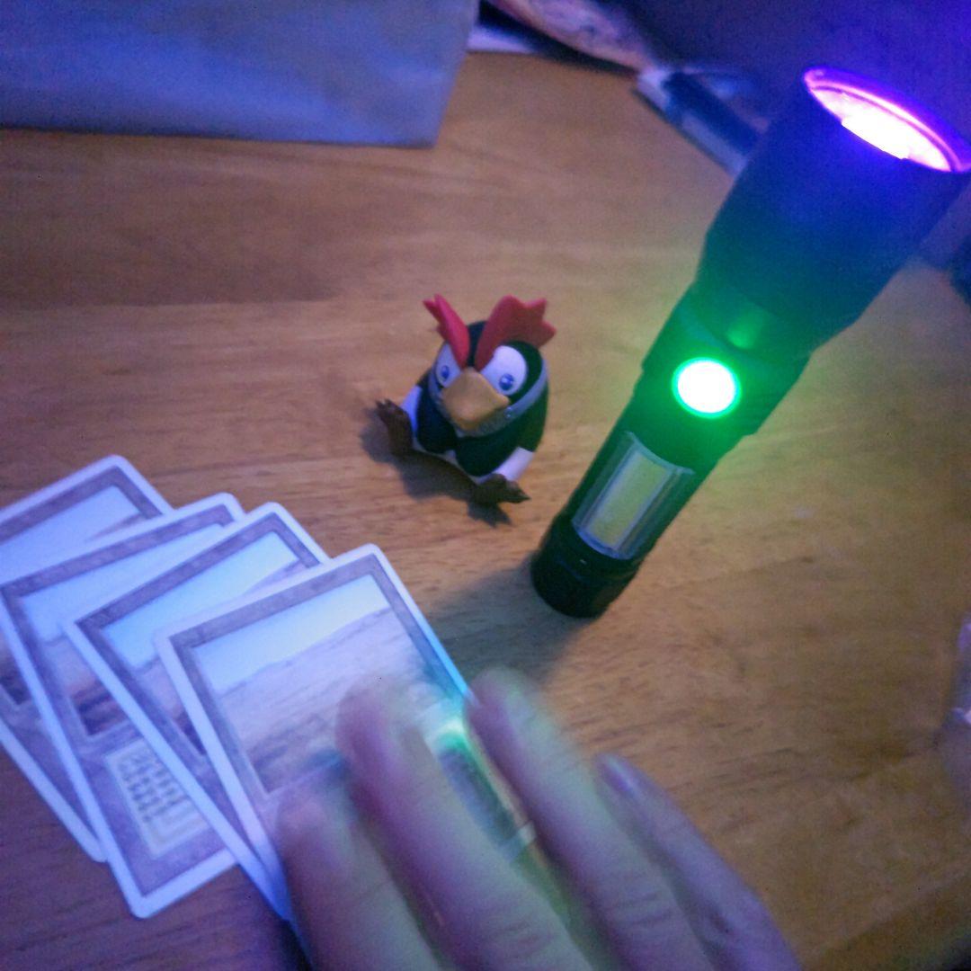 【断捨離】MTG savannah ４枚