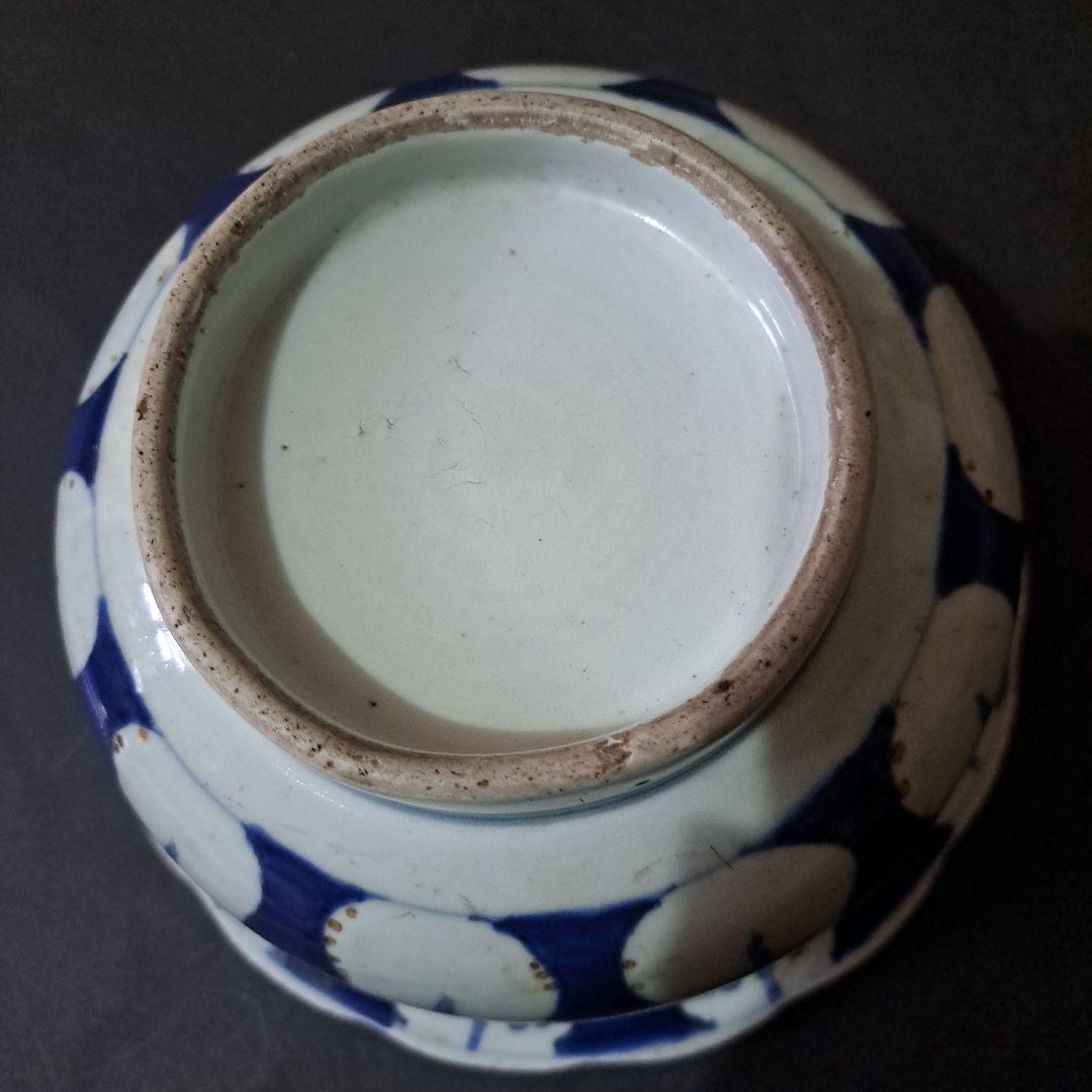 古伊万里　呉須染付青磁　深鉢　輪花赤縁　口太　高台　立割菊花図　江戸後期