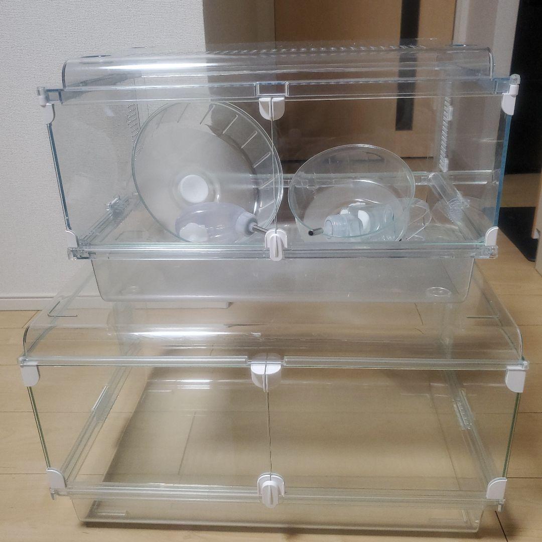 イモリウム テラリウム 苔リウム 50×30×36cm オーダーメイド 受注生産