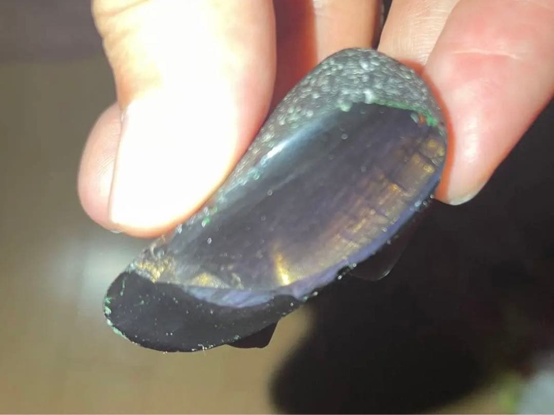 研磨品 十勝石玲瓏 ゴールデンレインボー＋パープル 超特級品