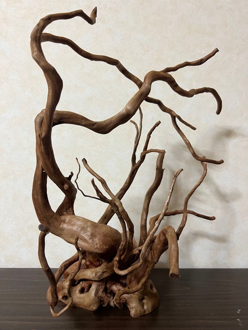 13003 ブランチウッド 流木 アクアリウム 沈水確認済