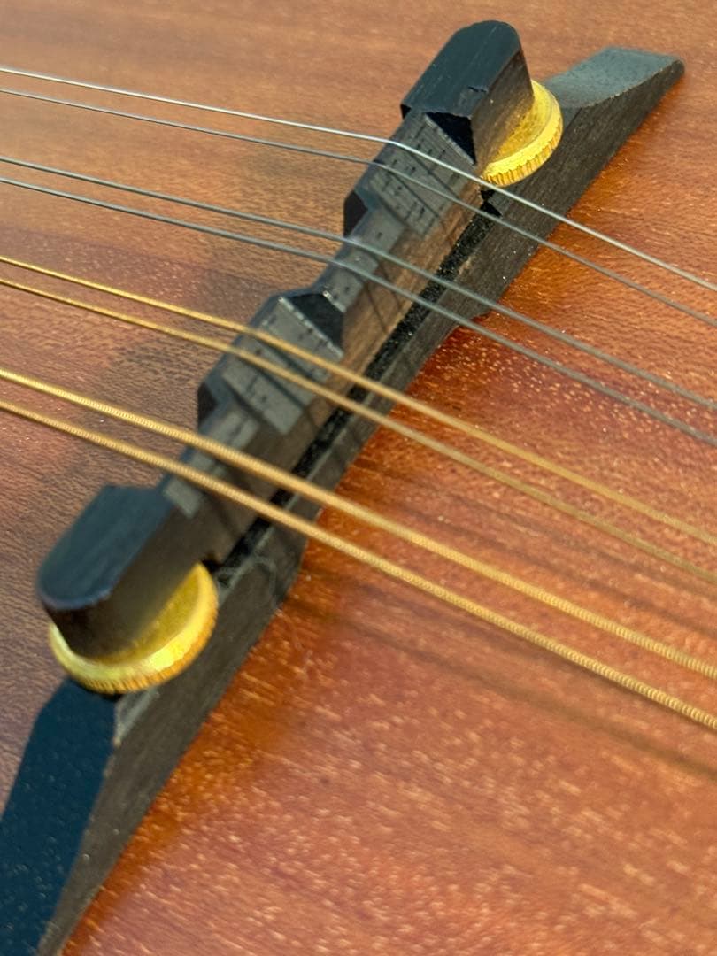 フラットマンドリンBeanBlossom By Morgan Monroe