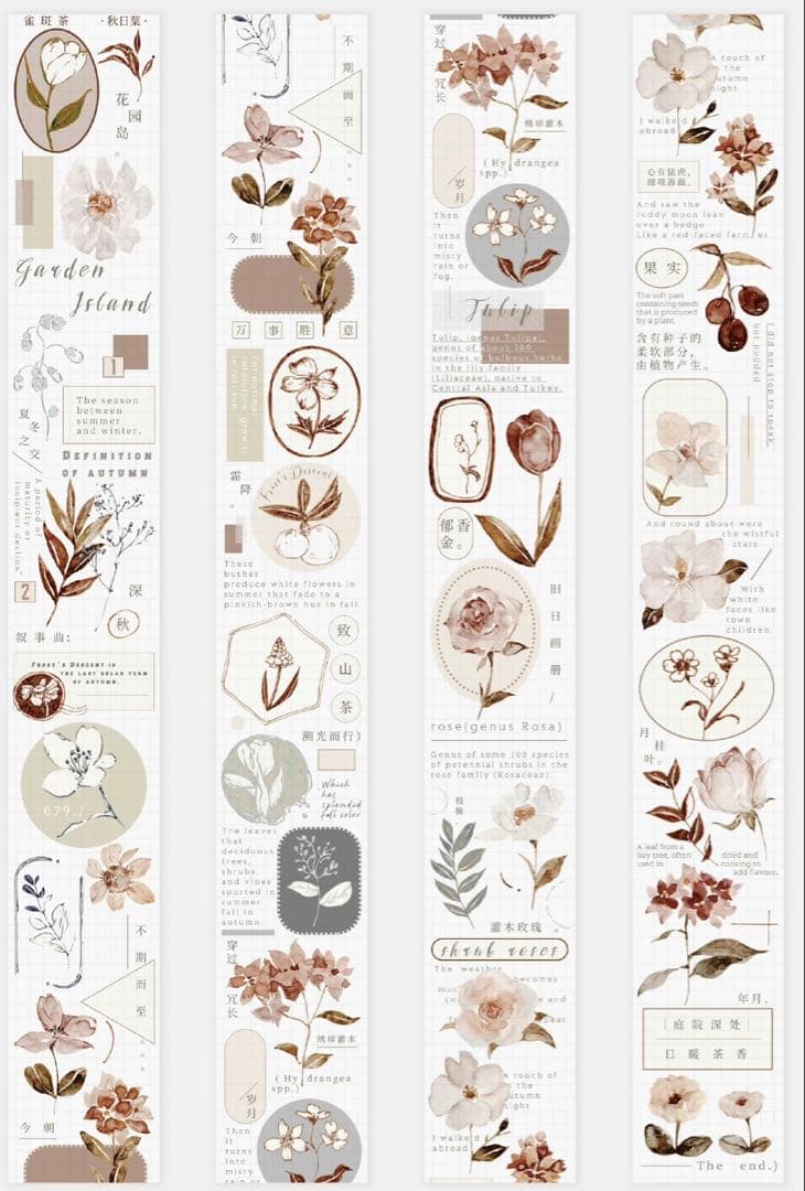 《在庫ラスト最終値下げ》海外 マスキングテープ雀斑茶 6点⚠️pet（33.324