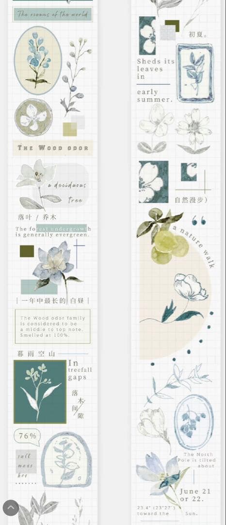 《在庫ラスト最終値下げ》海外 マスキングテープ雀斑茶 6点⚠️pet（33.324