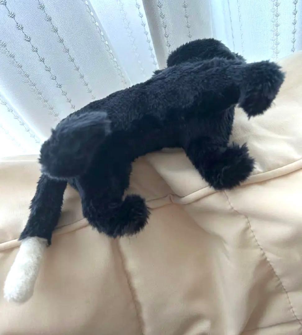 プレッツェル Boo frederic フレデリック ネコのぬいぐるみ貝戸由希