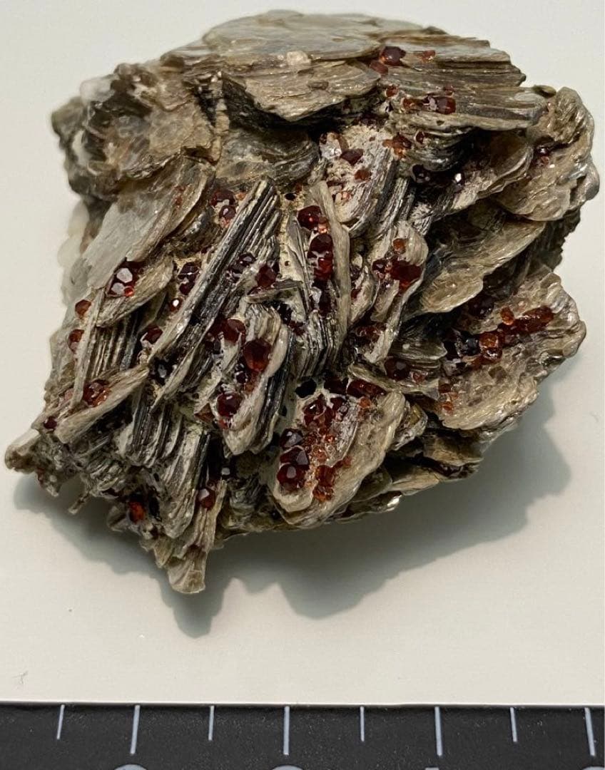 パキスタン産 白雲母上の満礬柘榴石 モスコバイト スペサルティン 外