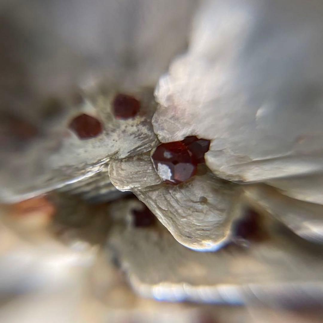 パキスタン産 白雲母上の満礬柘榴石 モスコバイト スペサルティン 外