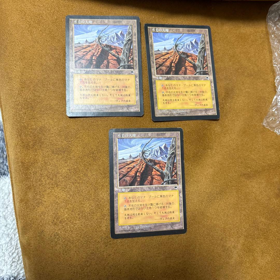 MTG 不毛の大地 Wasteland 3枚 日本語
