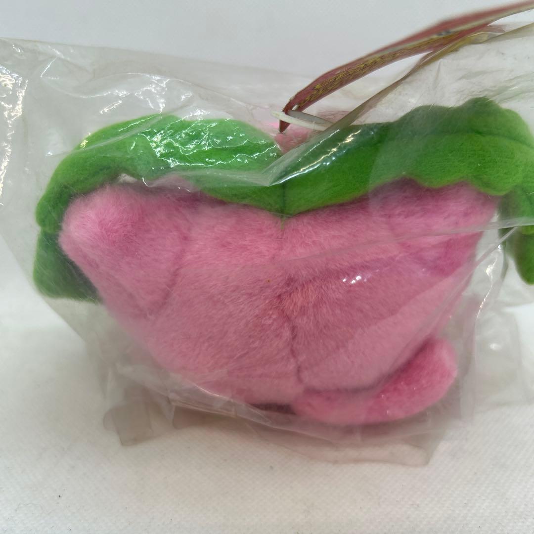 未開封　初期　ハネッコぬいぐるみ ポケモン　TOMY