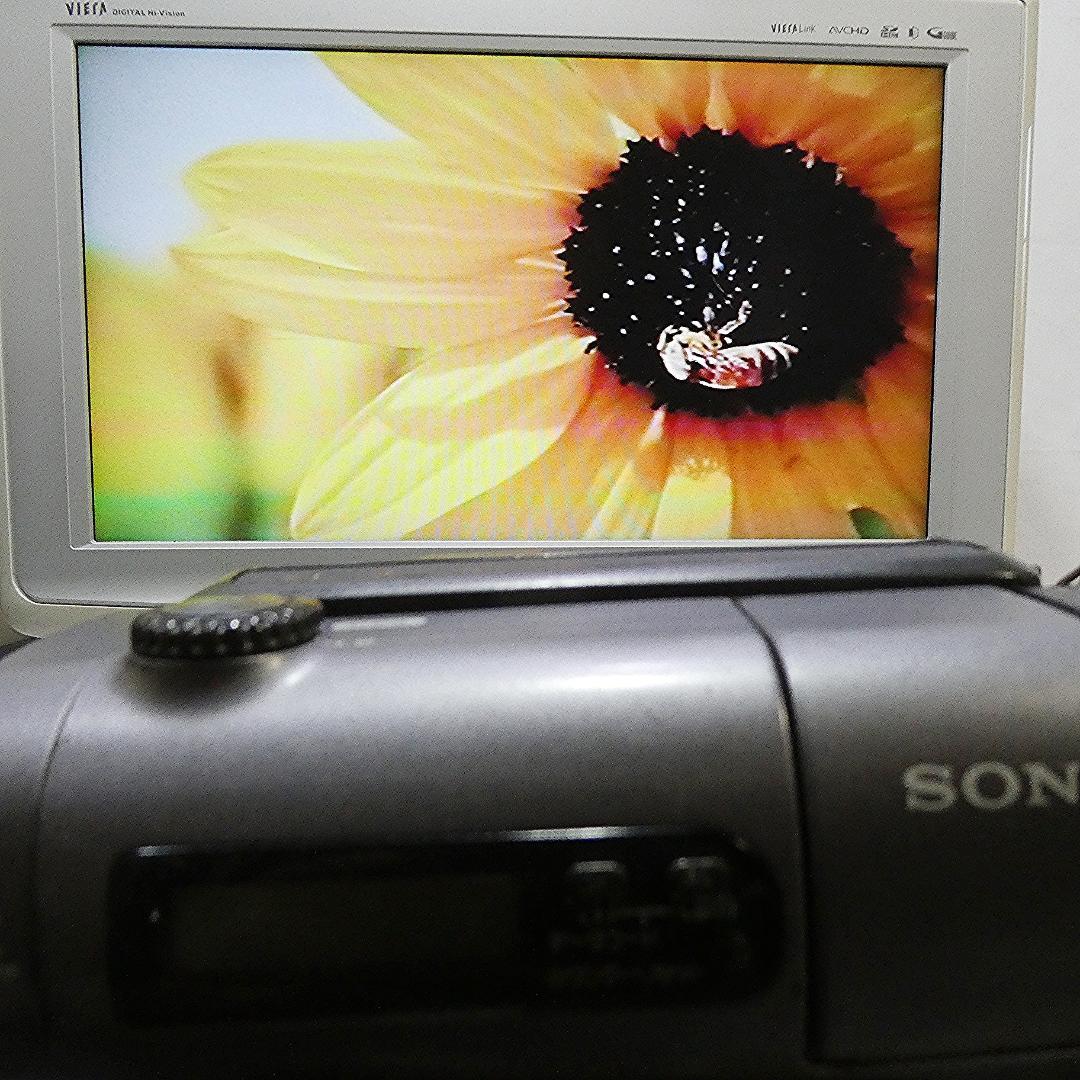 動作良好 VideoHi8 ソニーCCD-TR3　8ミリビデオ　DVD化に最適